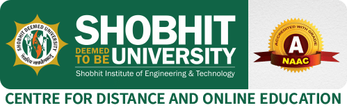 Shobhit Institute of Engineering & Technology (Meerut)